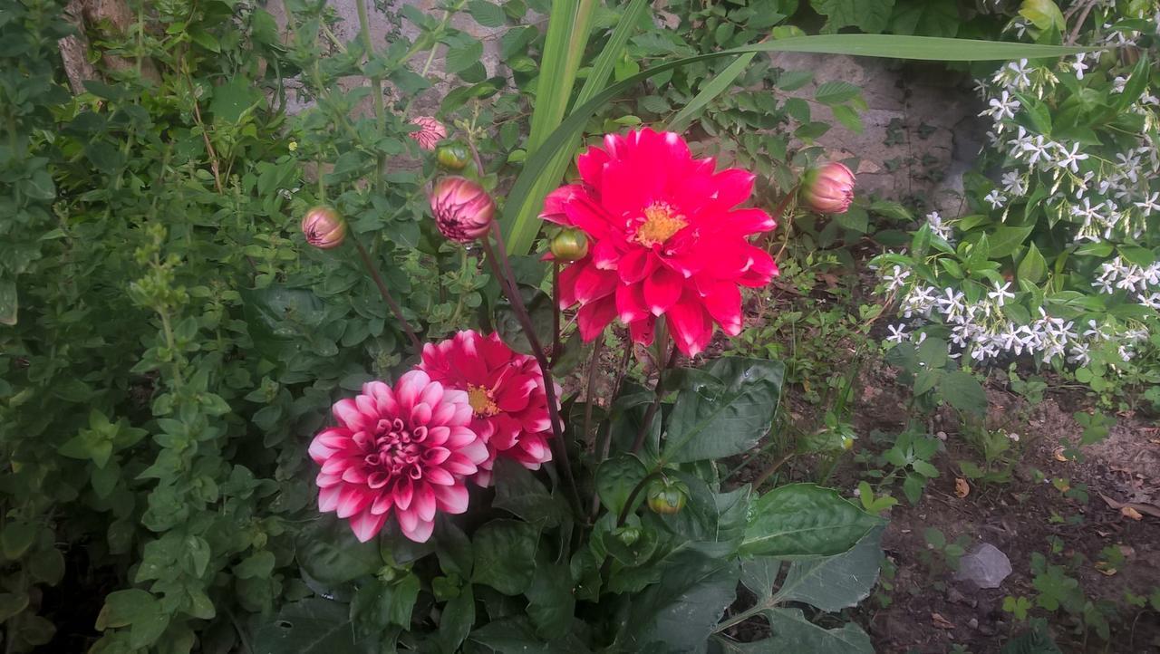 רדיקופאני Agriturismo Corvaia מראה חיצוני תמונה